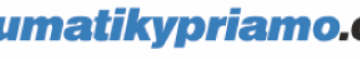 pneumatikypriamo logo